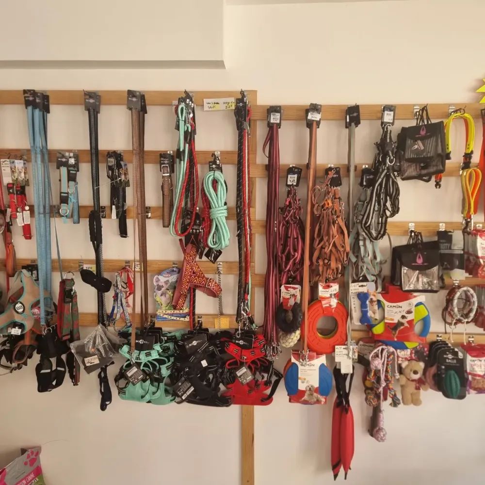 creations-artisanales-entr-chien-et-chat