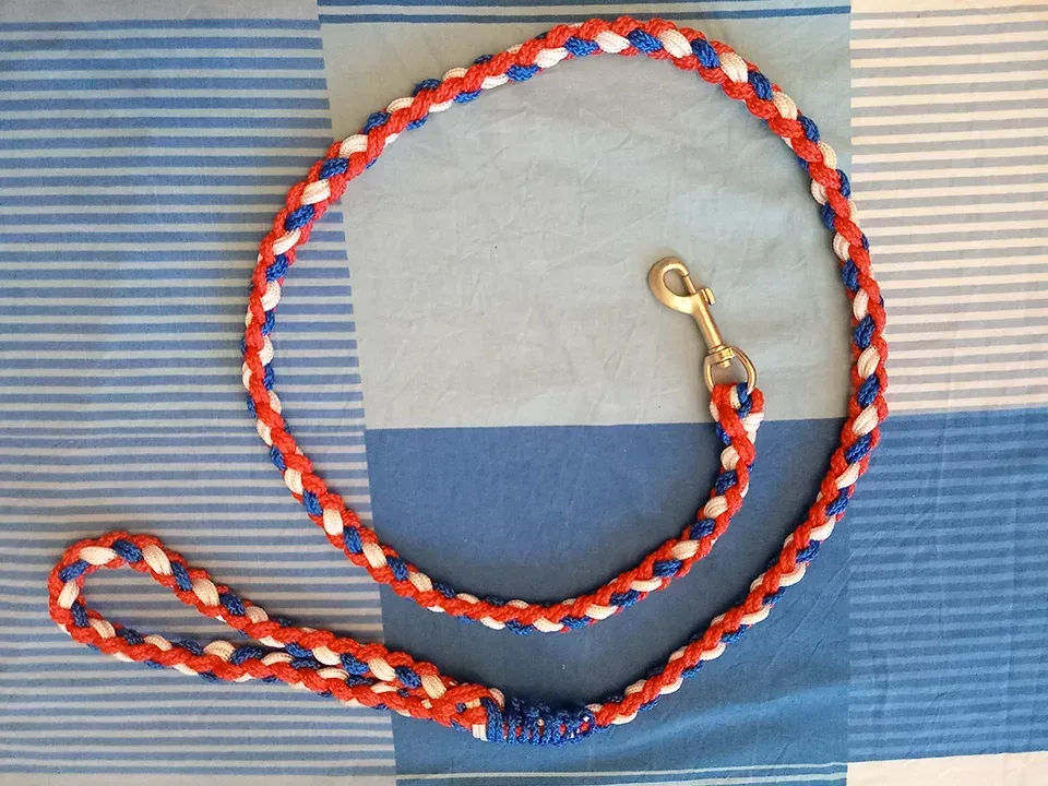 Laisses pour chien et chat à Charny Orée de Puisaye