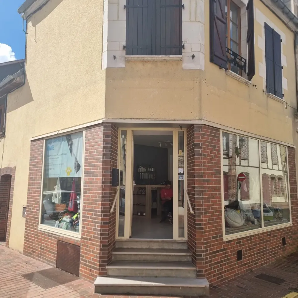 entr-chiens-et-chats