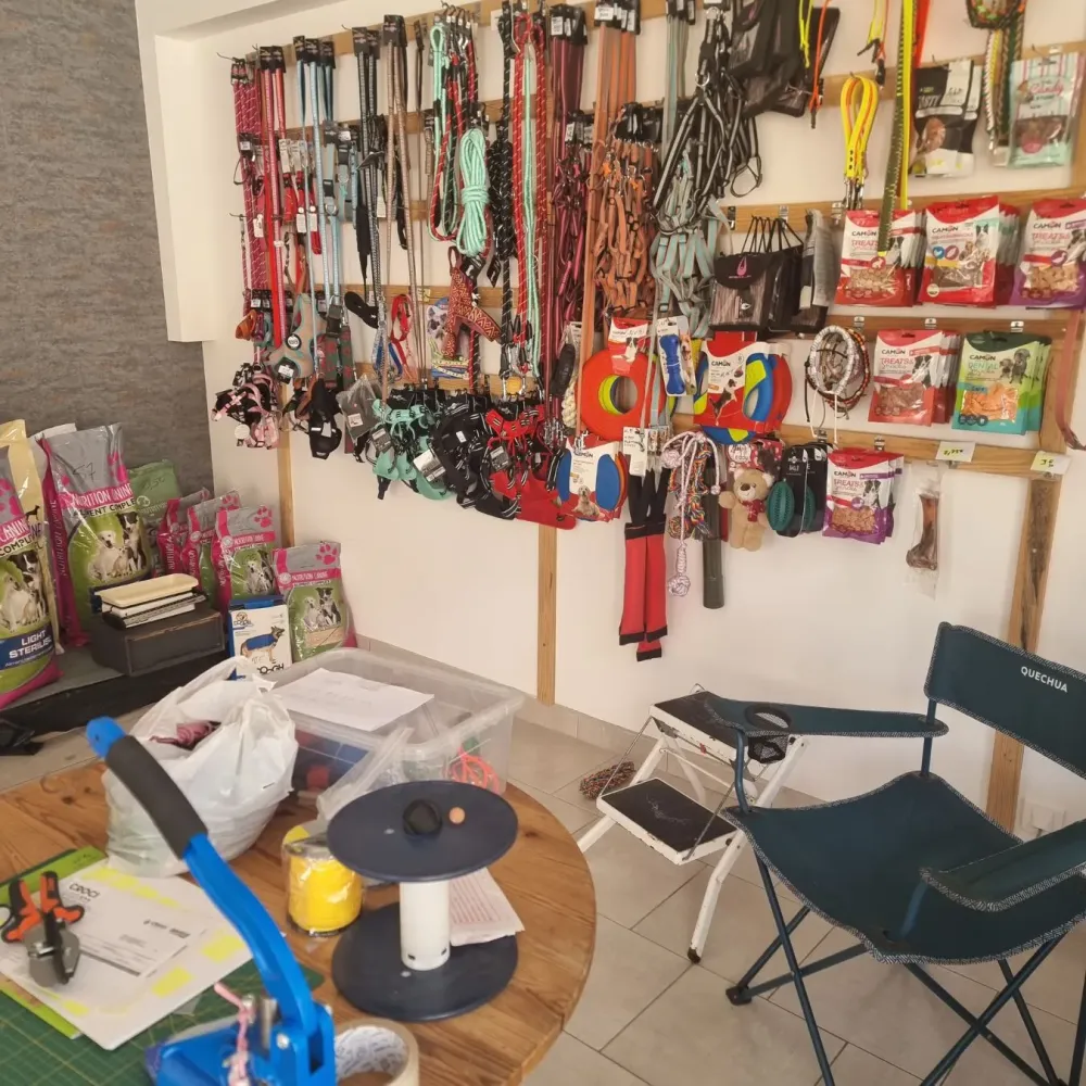 Jouets chats à Charny Orée de Puisaye